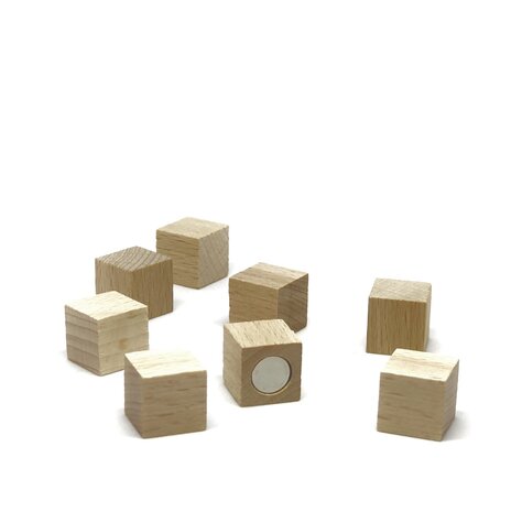 Lief band Lao Sterke houten magneetblokjes 15 x 15 mm - set van 8 stuks